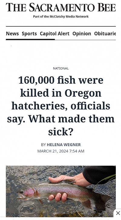 160,000 dead fish in Oregon