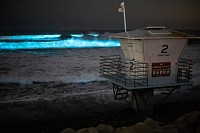 BIOLUMINESCENCE San Diego